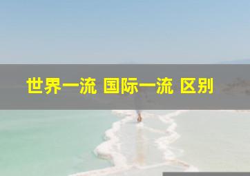 世界一流 国际一流 区别